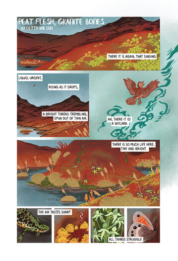 Peat Flesh, Granite Bones p1 a comic page showing a peat bog and all the things that live there.