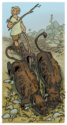 Cover for the OSE edition a pictish farmer ploughing their field with the help of two cows.