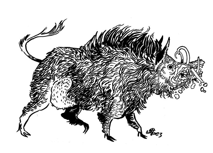 black ink drawing of a monstrous boar.